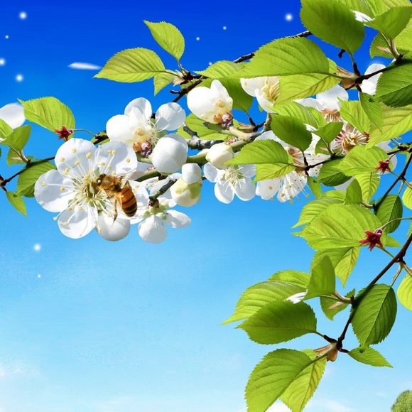 Meet your Posher, Dee - Picture 1 of 1